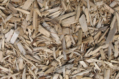 biomass boilers Angelbank